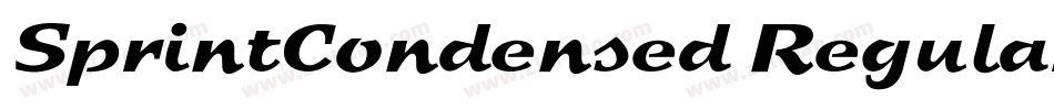 SprintCondensed Regular字体转换